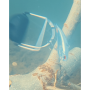 Dezagatator de naluci SAVE a LURE by ASAVAfishing